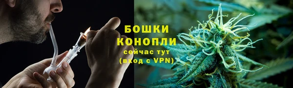 эйфоретик Богданович