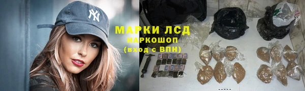эйфоретик Богданович