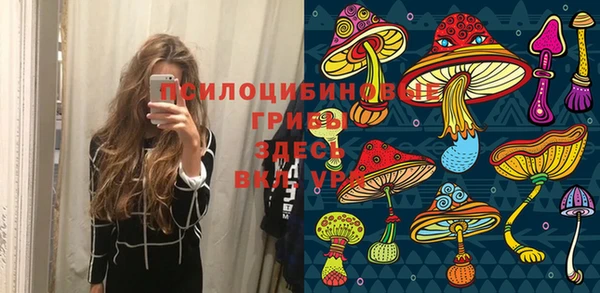 эйфоретик Богданович