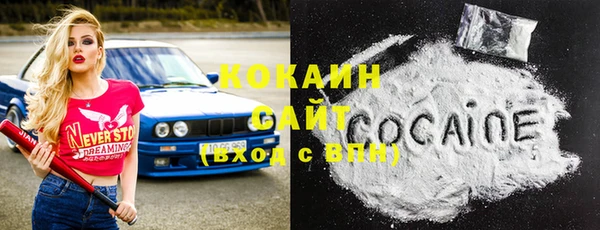 эйфоретик Богданович