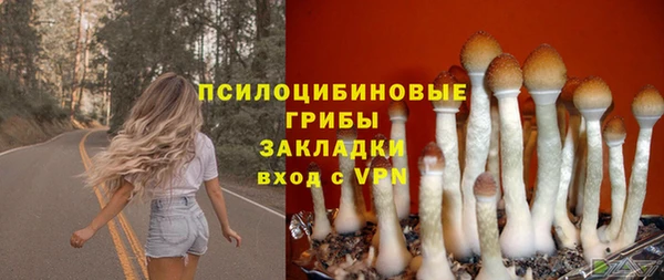 гашишное масло Богородицк