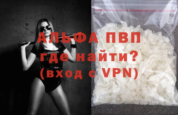 эйфоретик Богданович