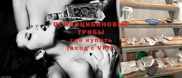 эйфоретик Богданович