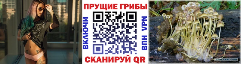 Галлюциногенные грибы GOLDEN TEACHER  Купить  Коряжма 